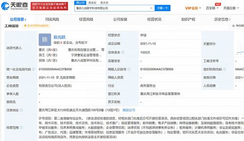 豬八戒網成立新公司，注資千萬加碼互聯網數據服務